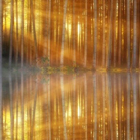 Meet your Posher - Picture 3 of 3